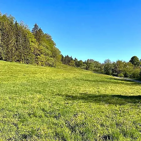 Smart B&b1 Bb1 116 * Winterberg